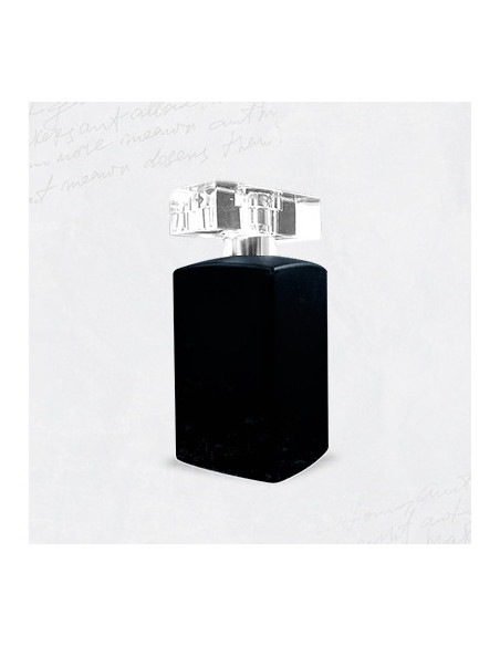 E546 / LOU SCENT 
