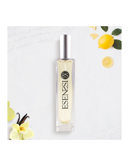 E565 / LOU BOSS