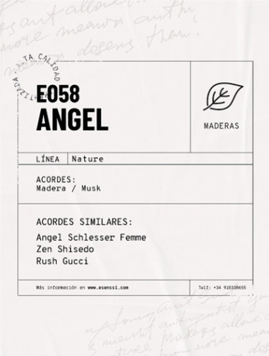 E058 / ANGEL