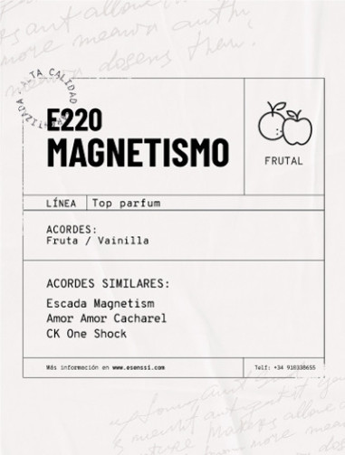 E220 / MAGNETISMO