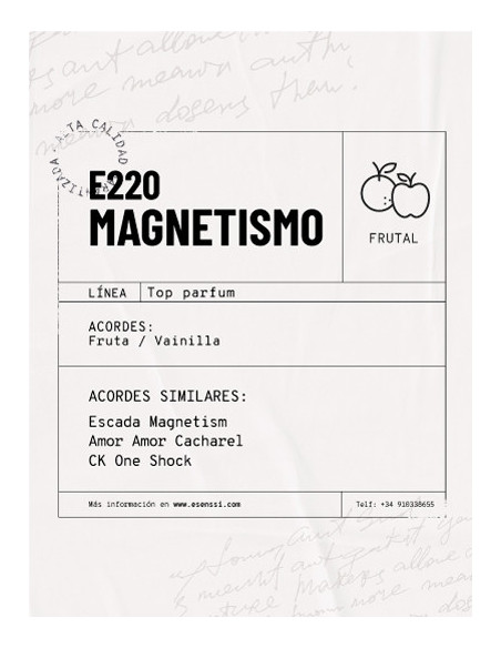 E220 / MAGNETISMO
