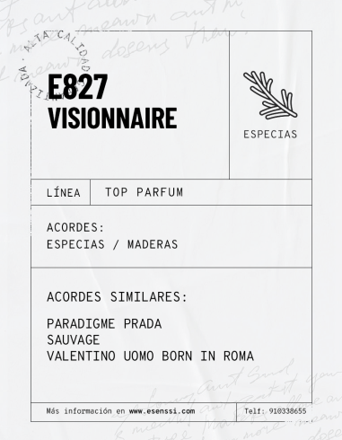 E827 / VISIONNAIRE