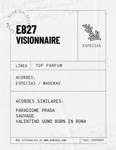 E827 / VISIONNAIRE
