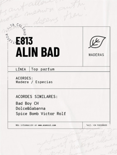 E813 / ALIN BAD