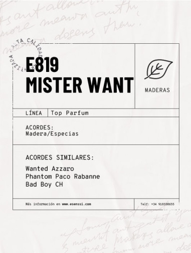 E819 / MISTER WANT