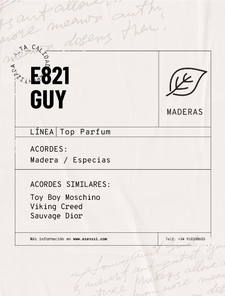 E821-GUY
